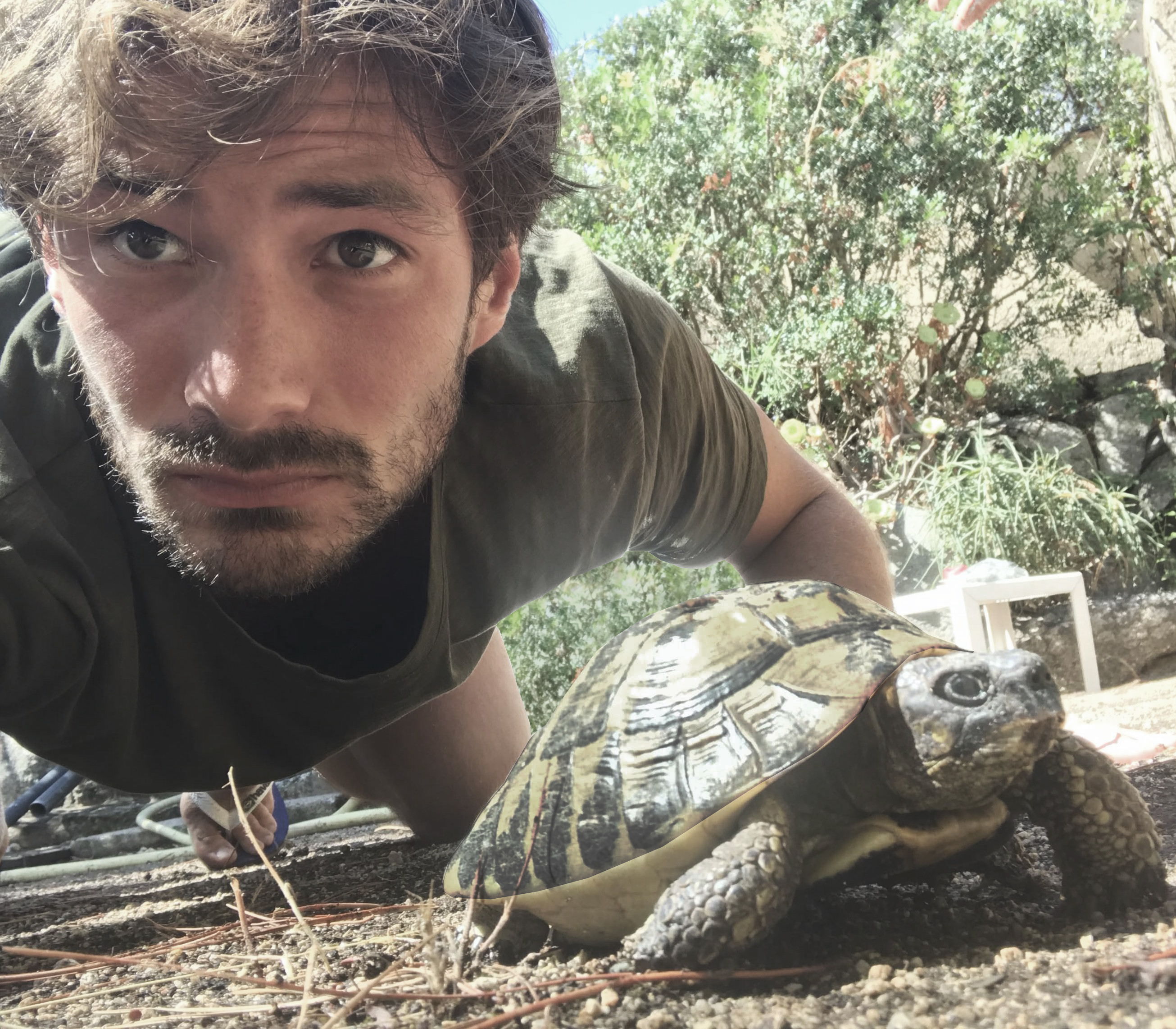 Loucas Pillaud-Vivien